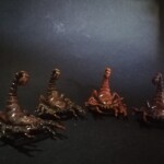 Front view of a "Aftermath: le Cataclysme" characters